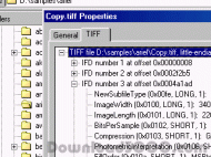 TIFFProp screenshot